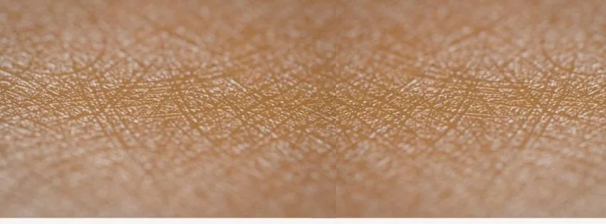 De ce bariera pielii a devenit cel mai important subiect în skincare (și de ce ar trebui să-ți pese)